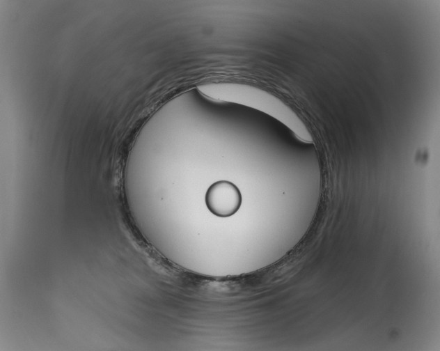 X0000115010277200911161608