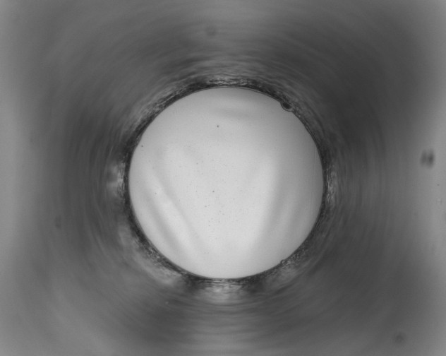 X0000115010278200911161608