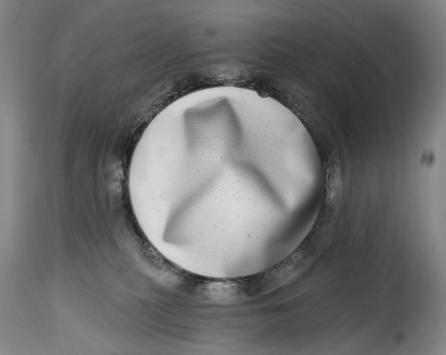 X0000115010279200911161608