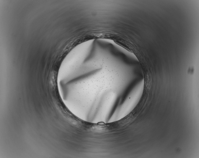 X0000115010280200911161608