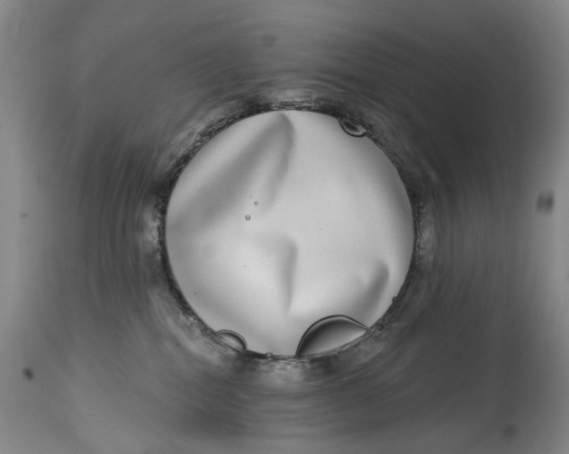 X0000115010282200911161608