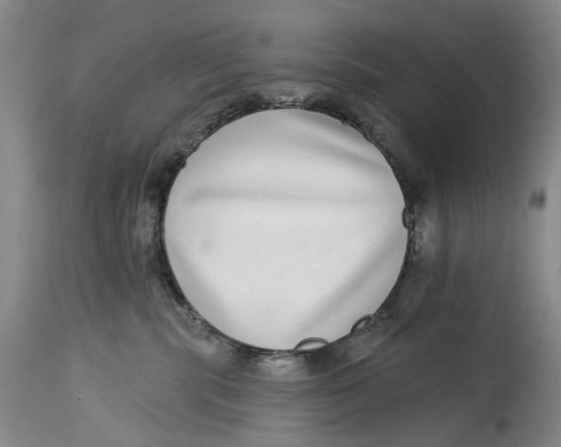 X0000115010283200911161608
