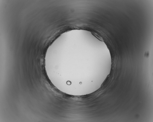 X0000115010284200911161608