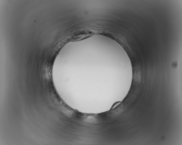 X0000115010285200911161608