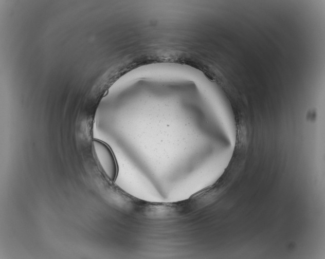 X0000115010286200911161608