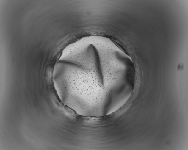 X0000115010288200911161608