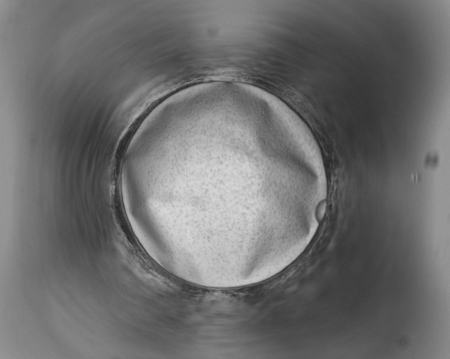 X0000115010290200911161607