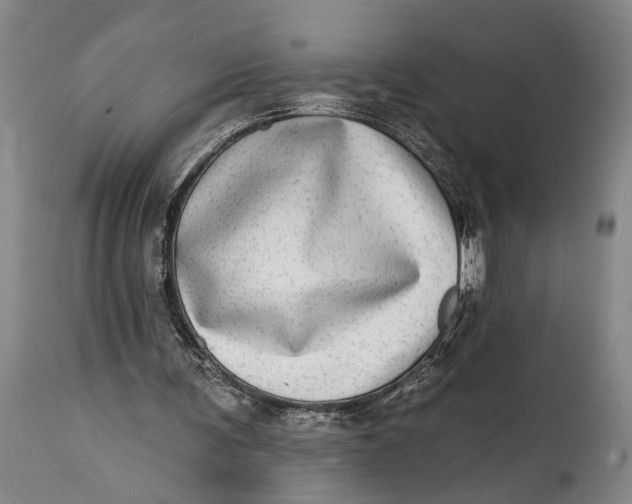 X0000115010291200911161607