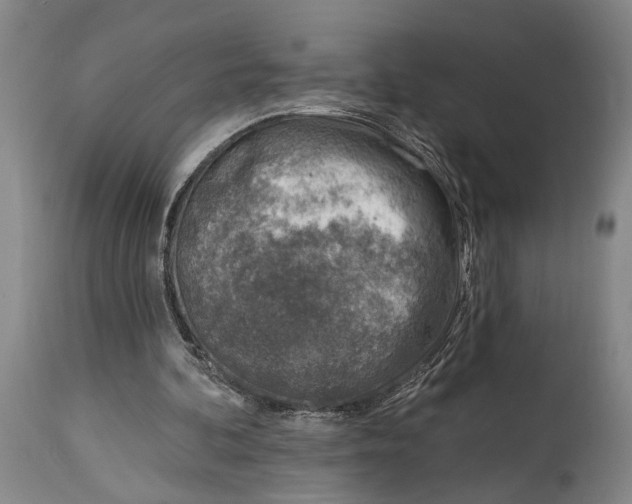 X0000115010292200911161607