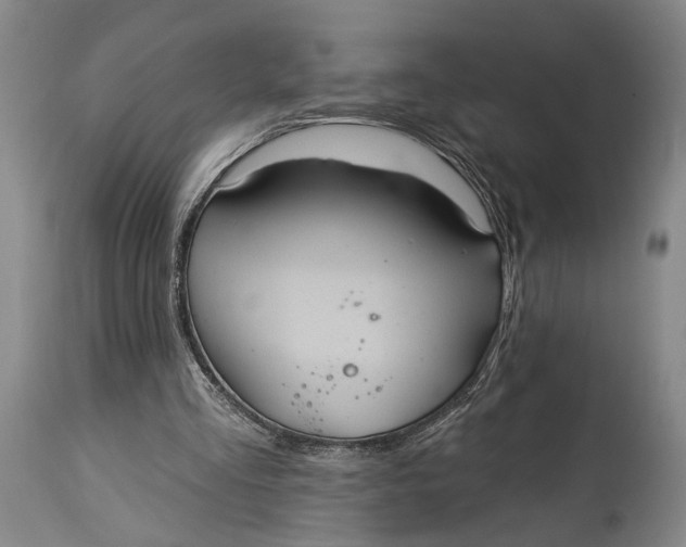 X0000115010293200911161607