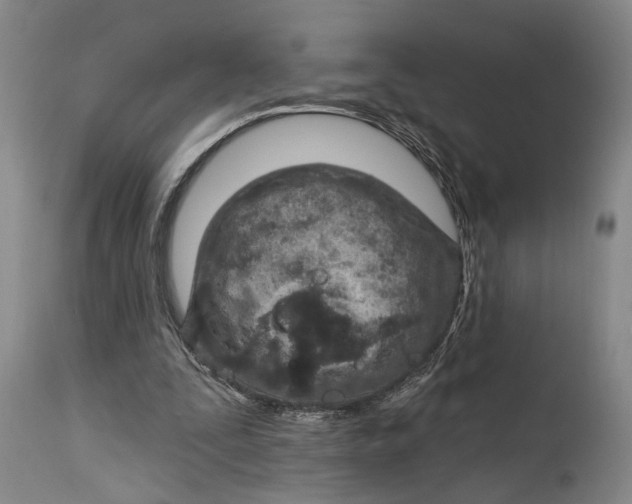 X0000115010295200911161607
