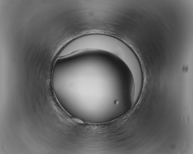 X0000115010297200911161607