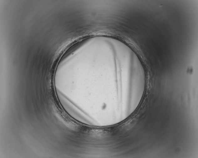 X0000115010298200911161607