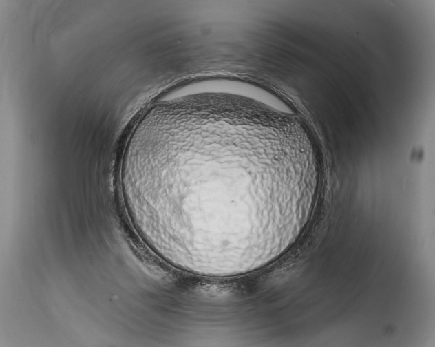 X0000115010299200911161607