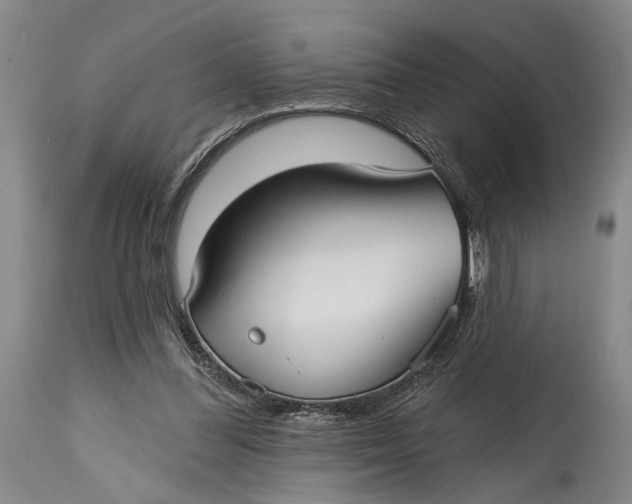 X0000115010300200911161607