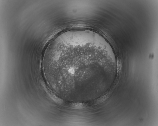 X0000115010301200911161607