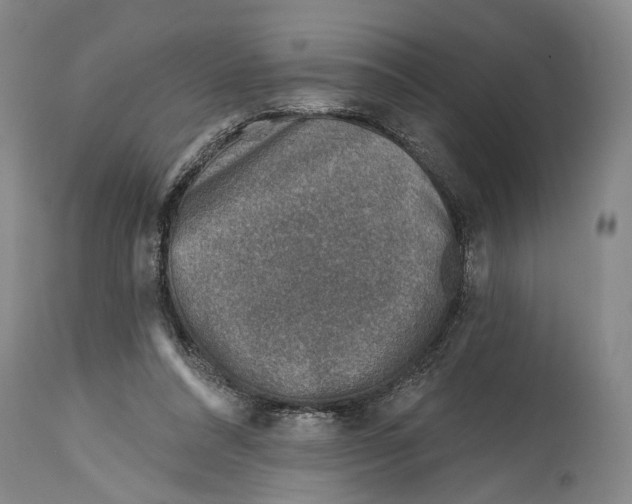 X0000115010304200911161607