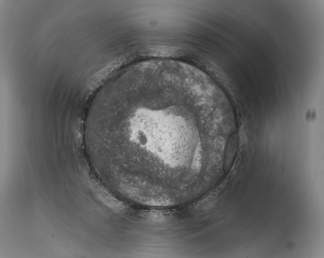 X0000115010305200911161607