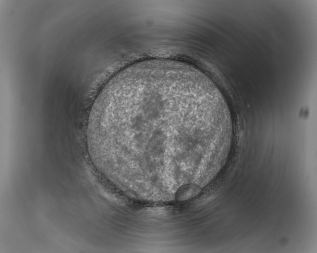 X0000115010307200911161607