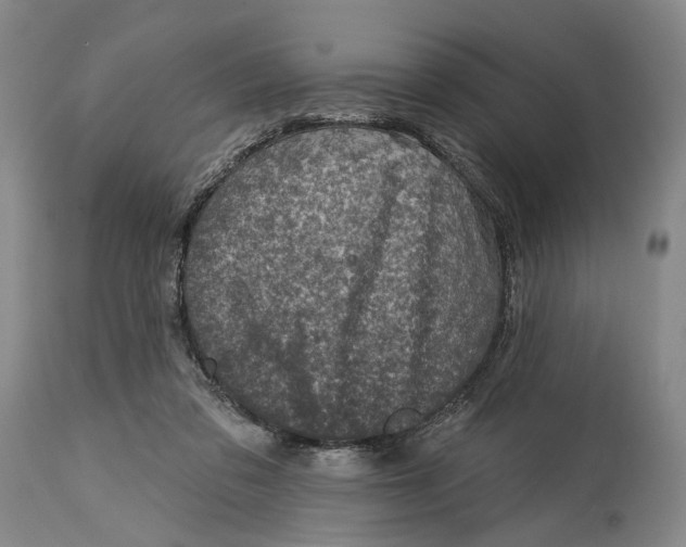 X0000115010309200911161607