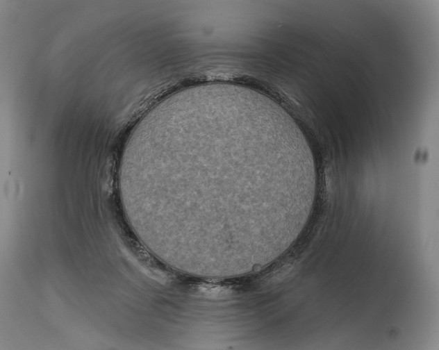 X0000115010311200911161607