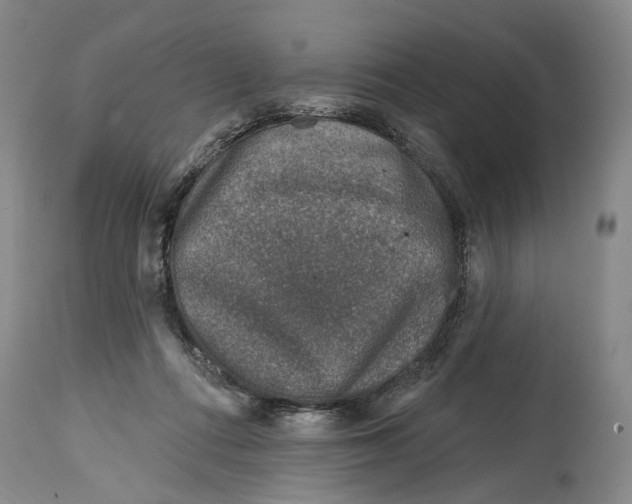 X0000115010312200911161607