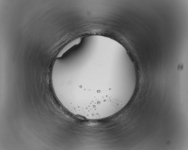 X0000115010313200911161607