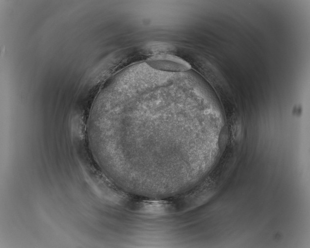 X0000115010316200911161607