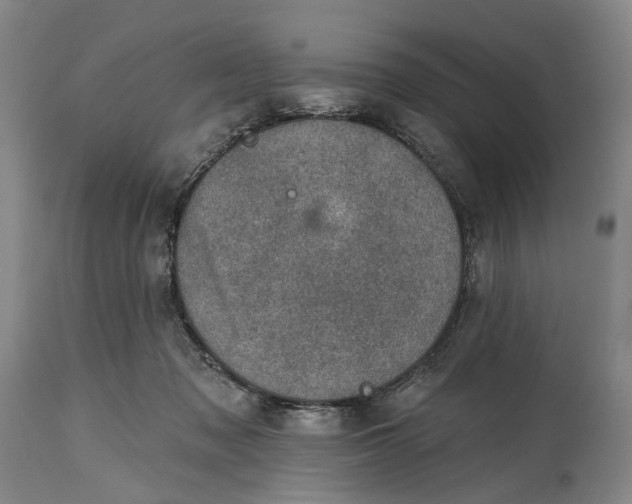 X0000115010317200911161606