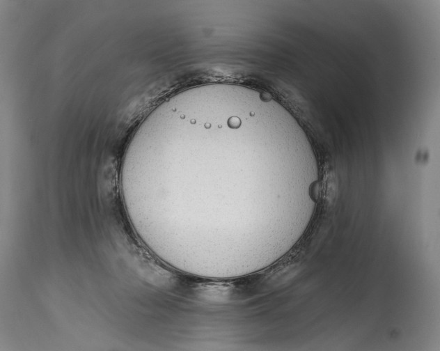 X0000115010318200911161606