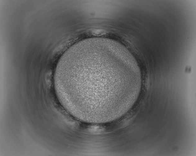 X0000115010319200911161606
