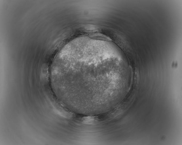 X0000115010320200911161606