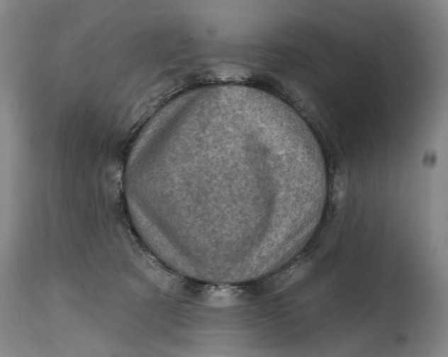 X0000115010321200911161606