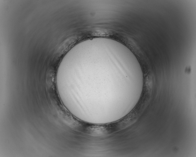 X0000115010322200911161606