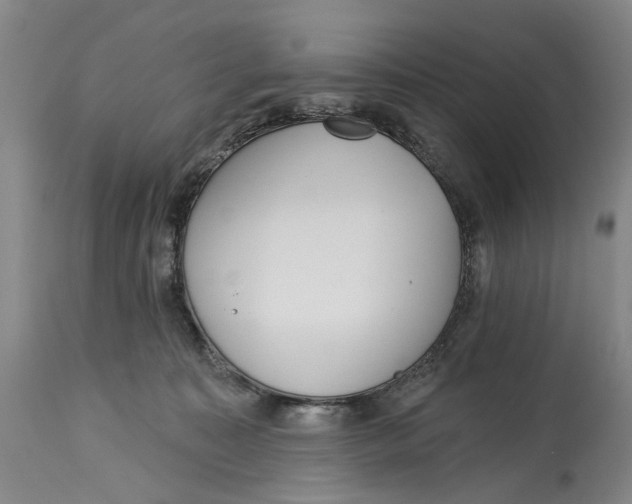 X0000115010323200911161606