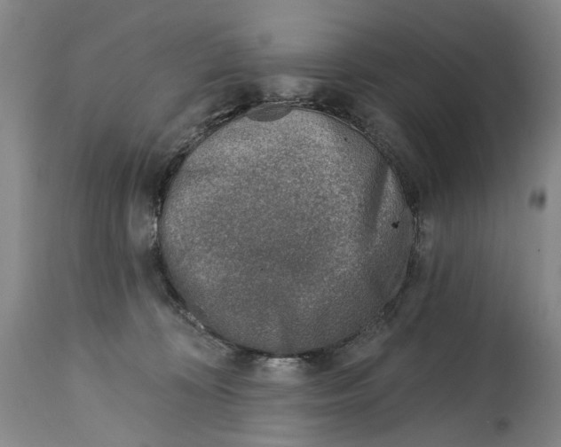 X0000115010324200911161606
