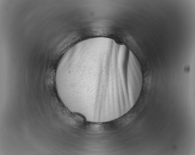 X0000115010325200911161606