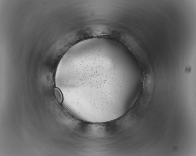 X0000115010327200911161606