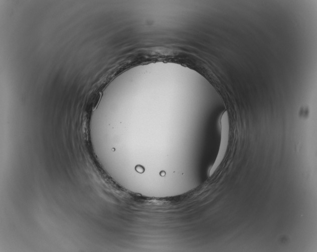 X0000115010328200911161606