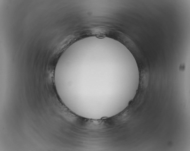 X0000115010329200911161606
