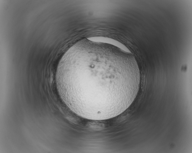 X0000115010331200911161606