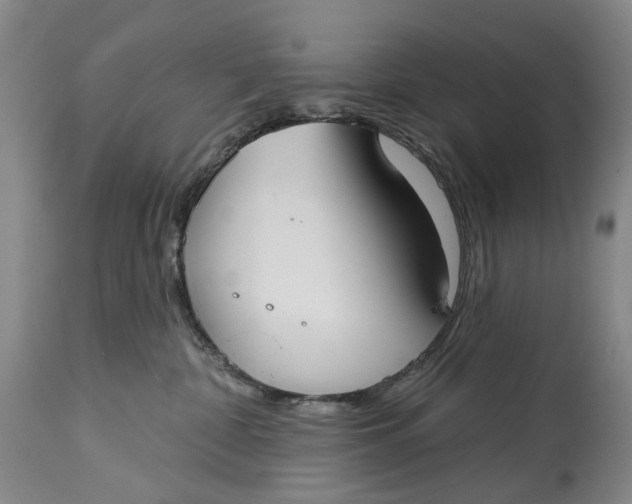 X0000115010332200911161606