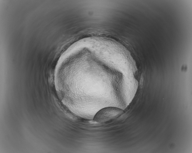 X0000115010335200911161606