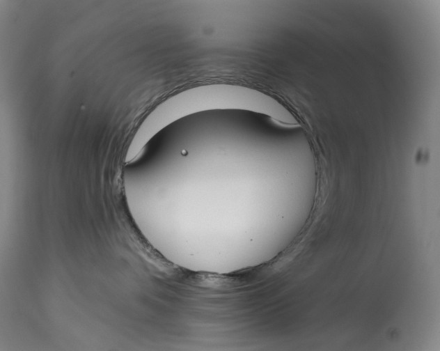 X0000115010336200911161606