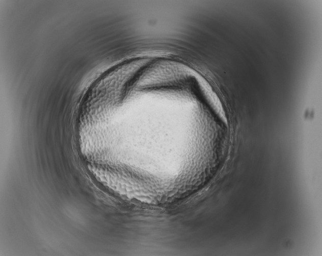X0000115010337200911161605