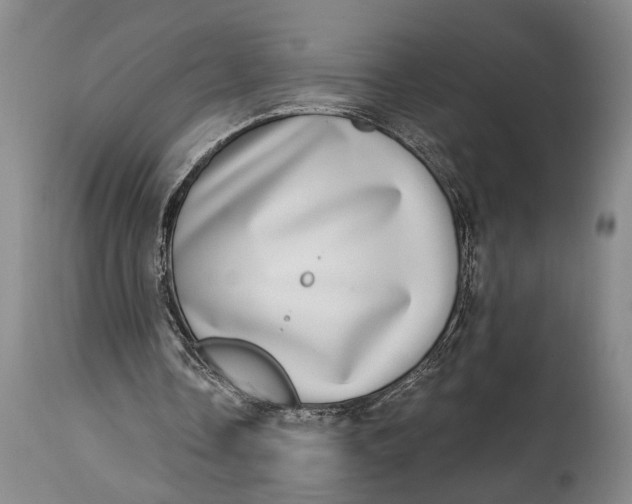 X0000115010338200911161606