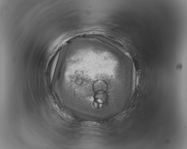 X0000115010339200911161606