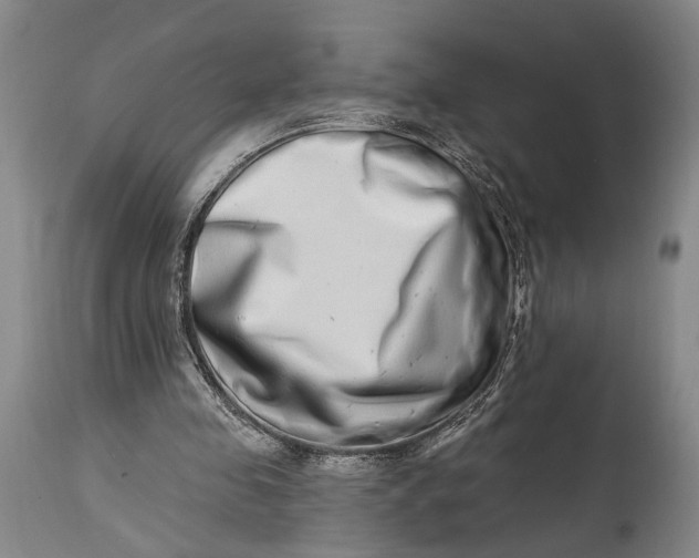 X0000115010341200911161606