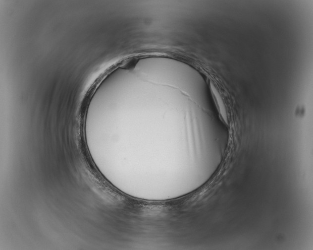 X0000115010342200911161606