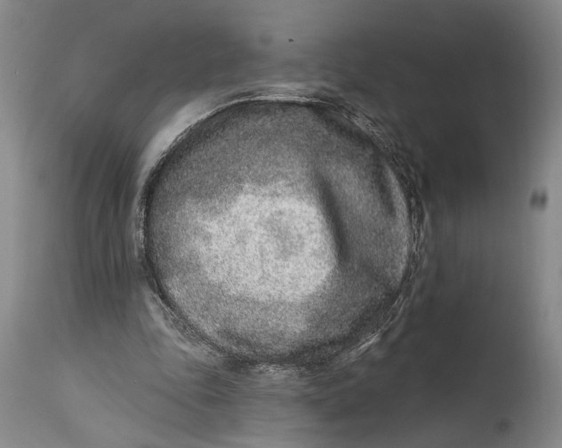 X0000115010343200911161606